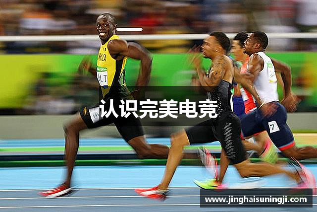 认识一卵孵双凤网